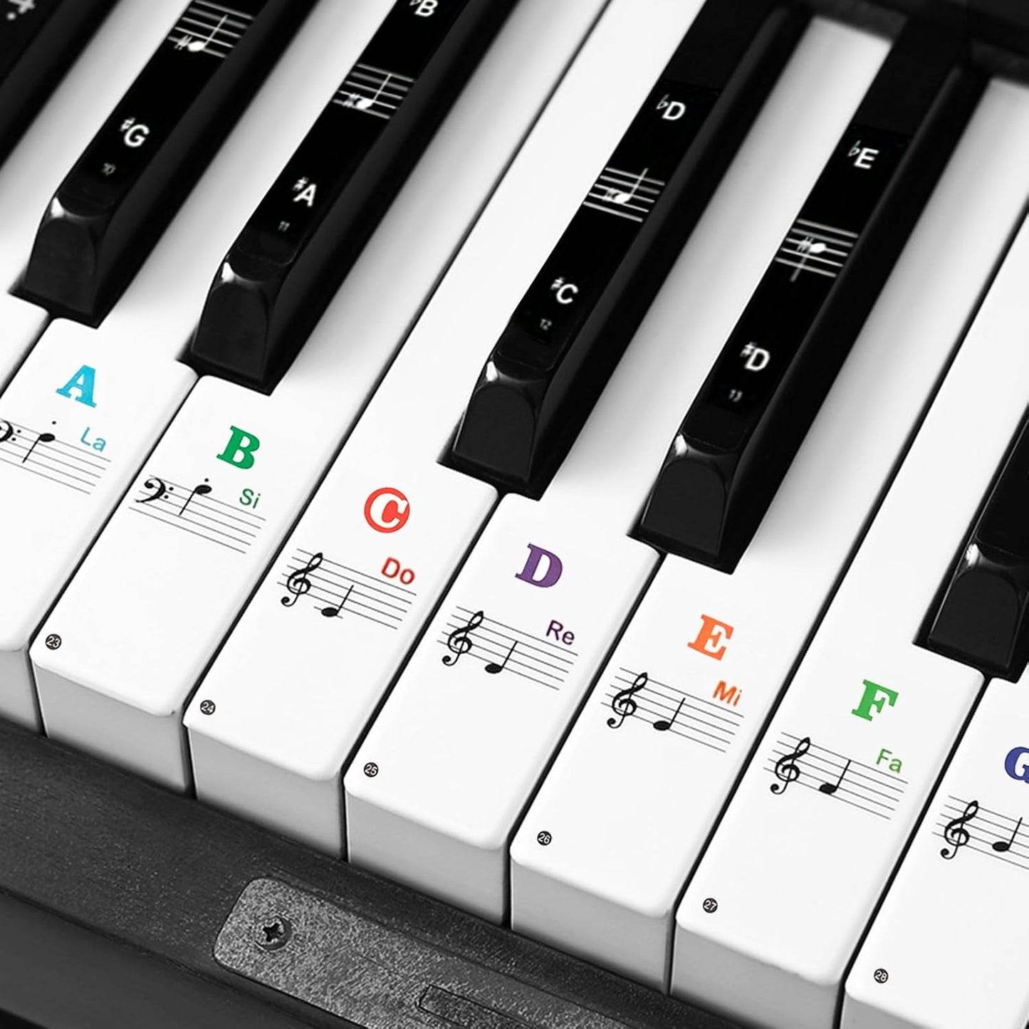 Colorful Piano Key Labels for Kids Learning, ZUFECY