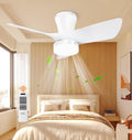 White Ceiling Fan with Light 30in - Quiet, High Airflow for Small
