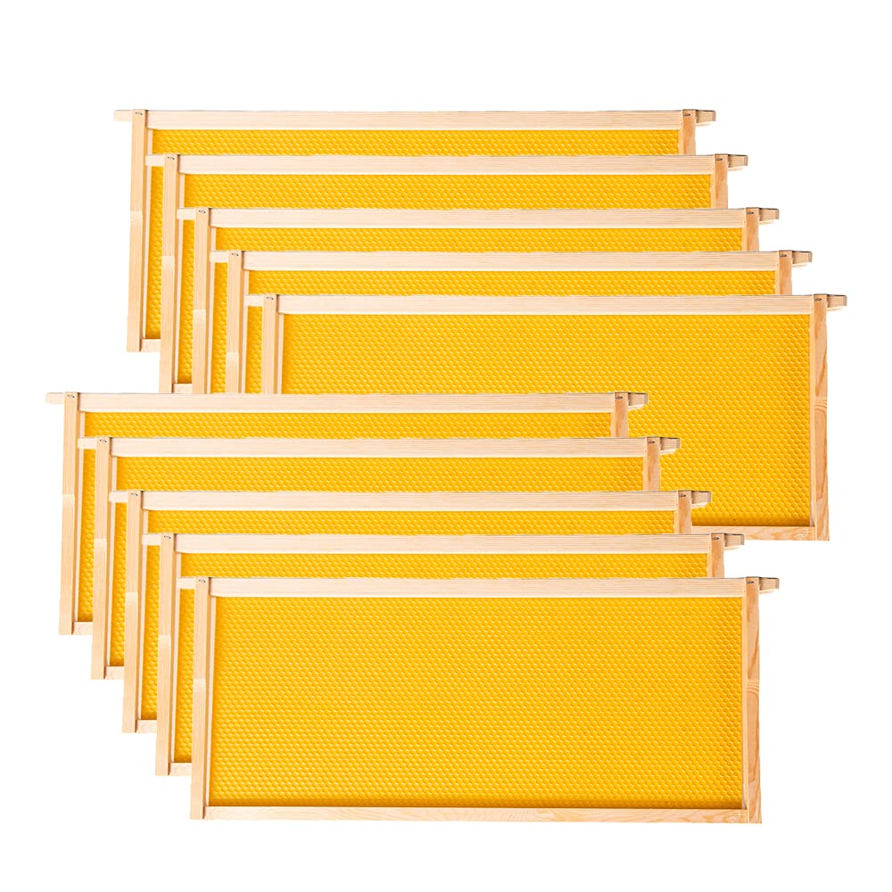 Deep Brood Beehive Frames with Wax Foundation for Beekeeping
