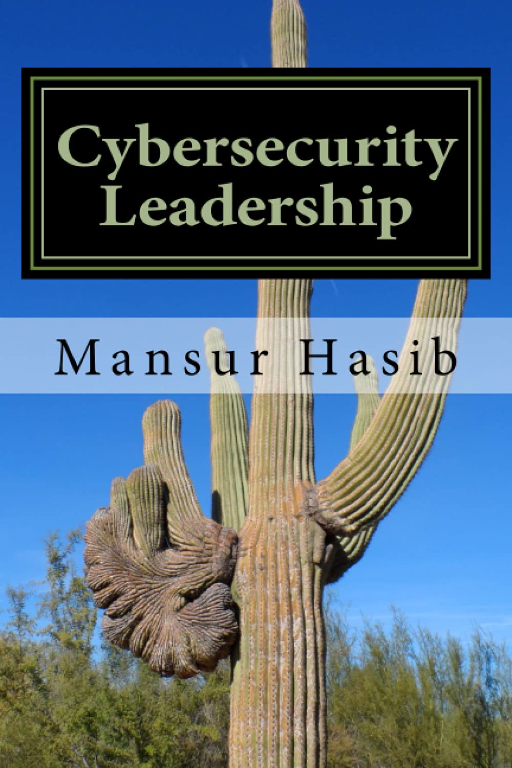 Cybersecurity Leadership: Powering the Modern Organization Review