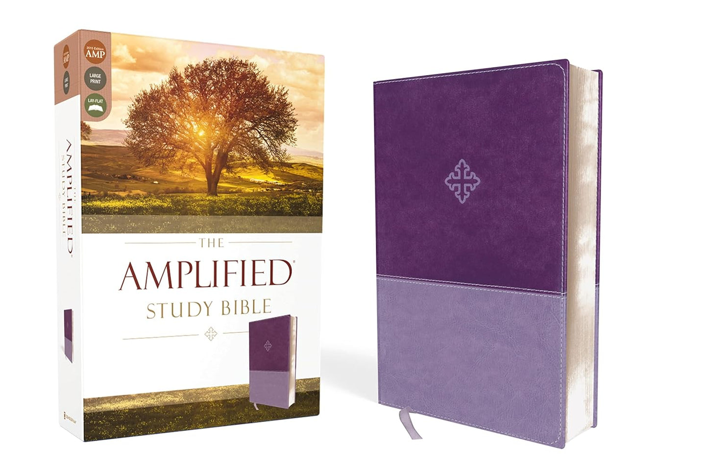 Amplified Study Bible in Leathersoft Purple for Deep Insights