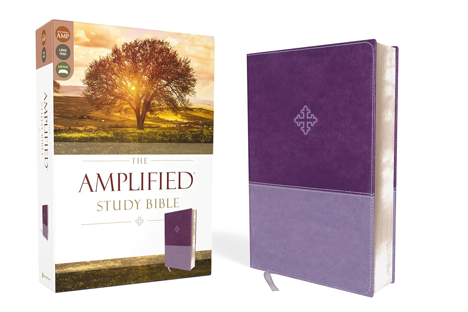 Amplified Study Bible in Leathersoft Purple for Deep Insights