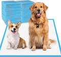Dog Pads Extra Large 30 in x 36 in 30-Count - Super Absorbent XXL Pads