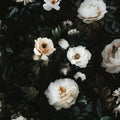Black Floral Wallpaper Peel and Stick for Stylish Home Decor