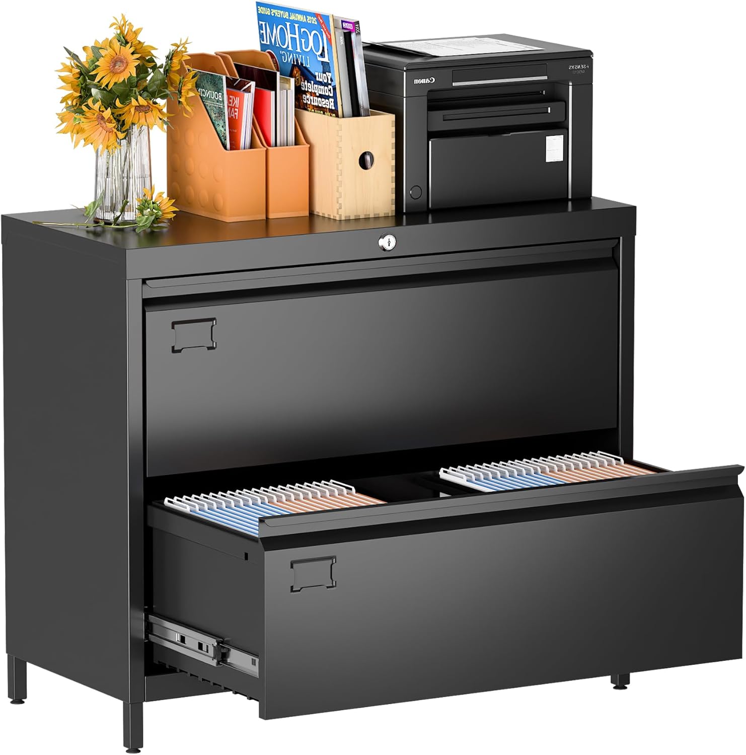 Lateral File Cabinet with 2 Drawers for Home Office Storage