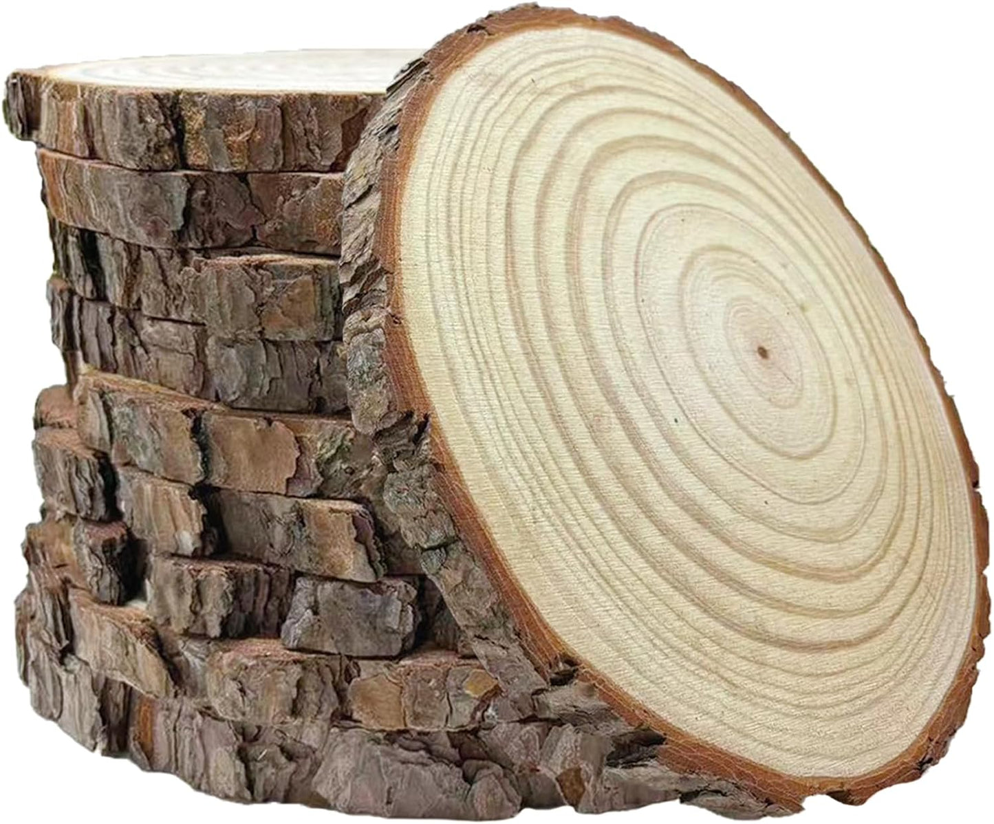 10 Pcs 8-10 Inch Unfinished Wood Slices for Rustic Decor
