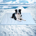 Dog Cooling Mat 48 in x 28 in Thick Cooling Pad for Crate