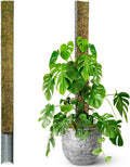 D-Shape Moss Pole 59 in for Climbing Plants - Stable Tall Support