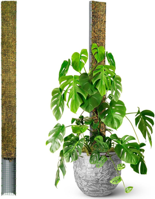 DUSPRO 59 D-Shape Moss Pole for Climbing Plants and Growth