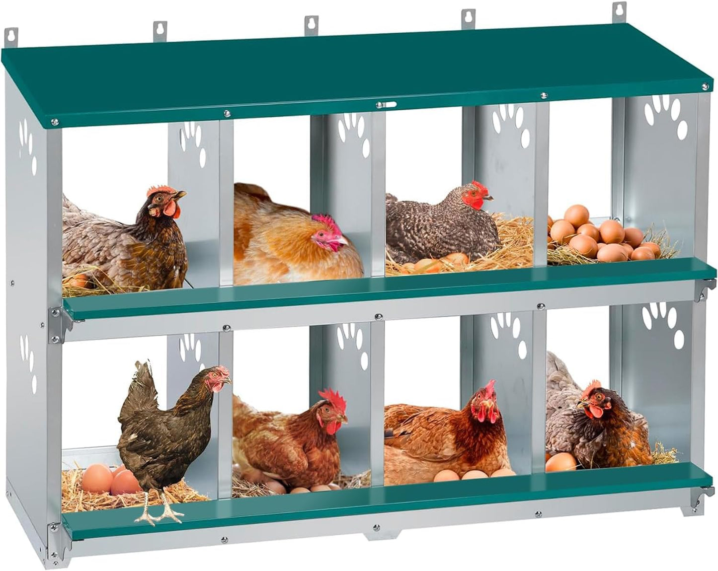 Chicken Nesting Box with 8 Compartments for Easy Egg Collection