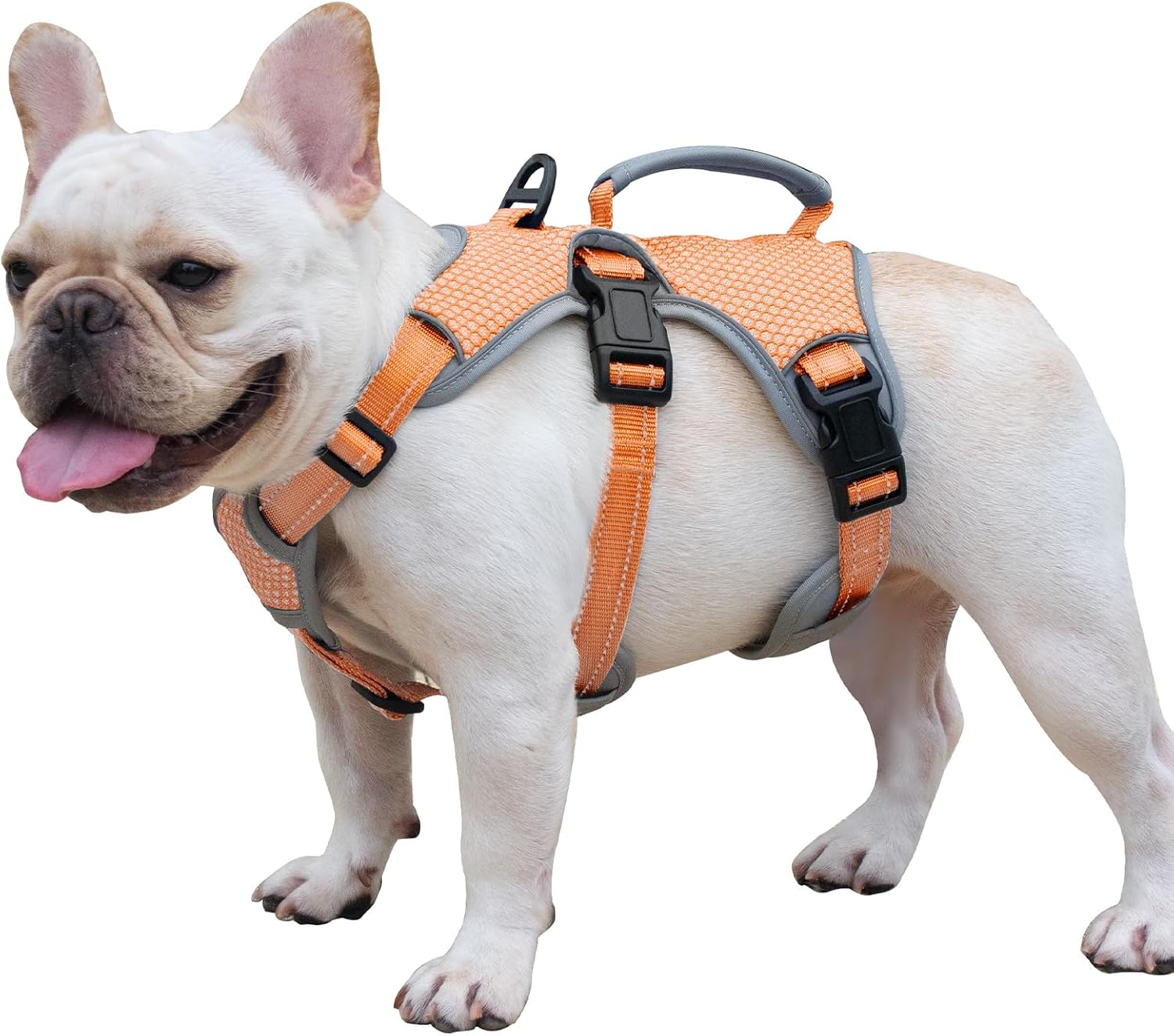 Escape Proof Dog Harness for Safe and Comfortable Walks
