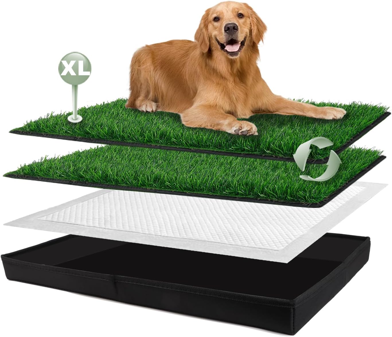 Extra Large Dog Grass Pad with Foldable Litter Box for Training