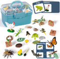 Life Cycle Learning Toys for Kids - 6 Species Life Science Kit