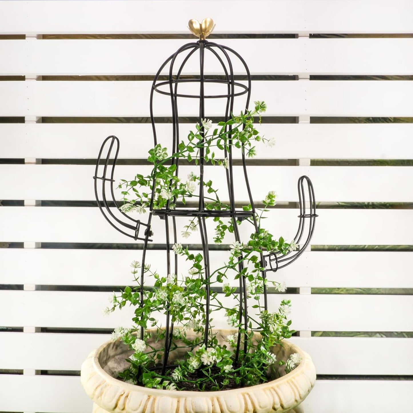 Cactus Obelisk Trellis for Climbing Plants and Garden Decor