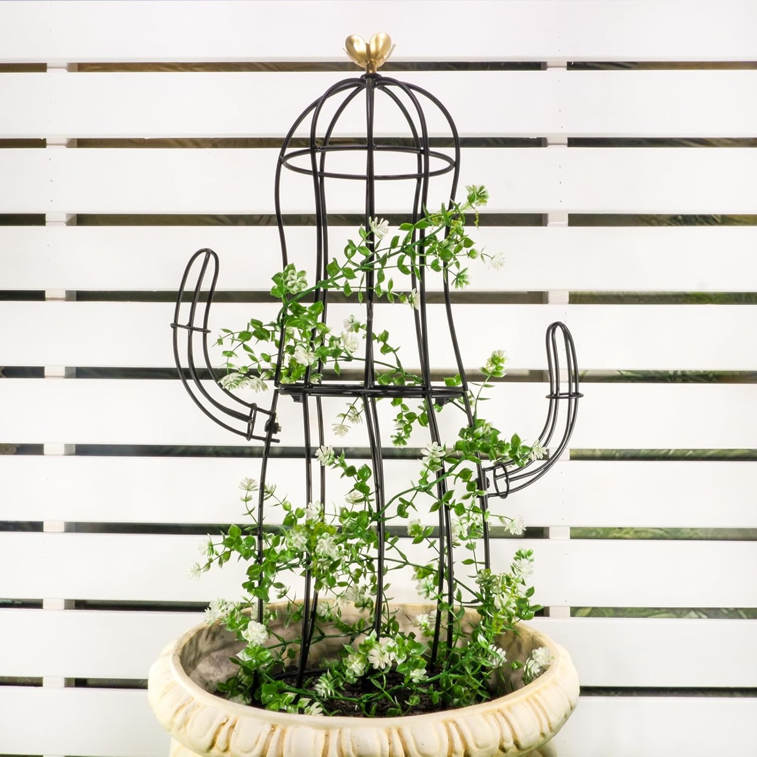 Cactus Obelisk Trellis for Climbing Plants and Garden Decor