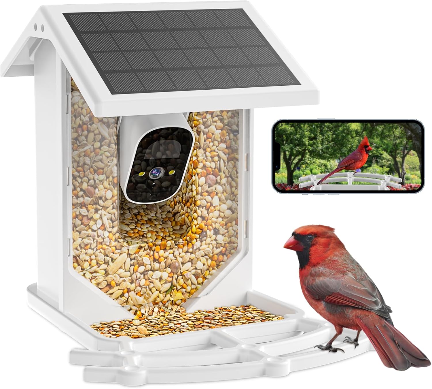 Smart Bird Feeder: 1080P Camera, Instant Alerts, Solar Powered