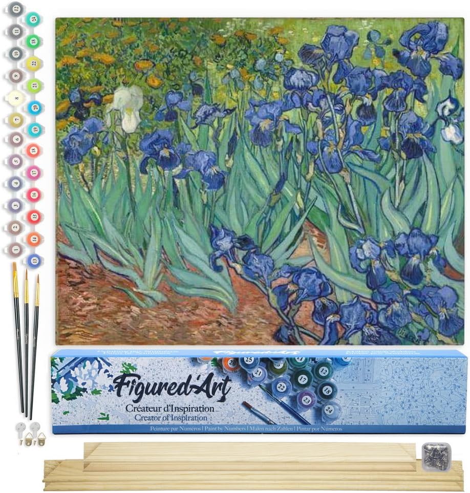 Figured'Art Paint by Numbers Kit for Adults Van Gogh Iris 16x20
