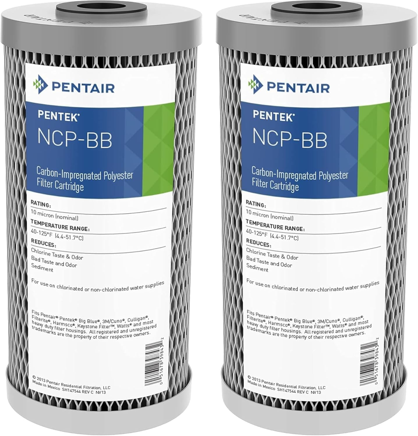 Pentair Pentek NCP-BB Big Blue Carbon Water Filter for Homes