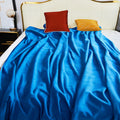 Waterproof Blanket for Bed Couch Sofa 60in x 80in - Reversible