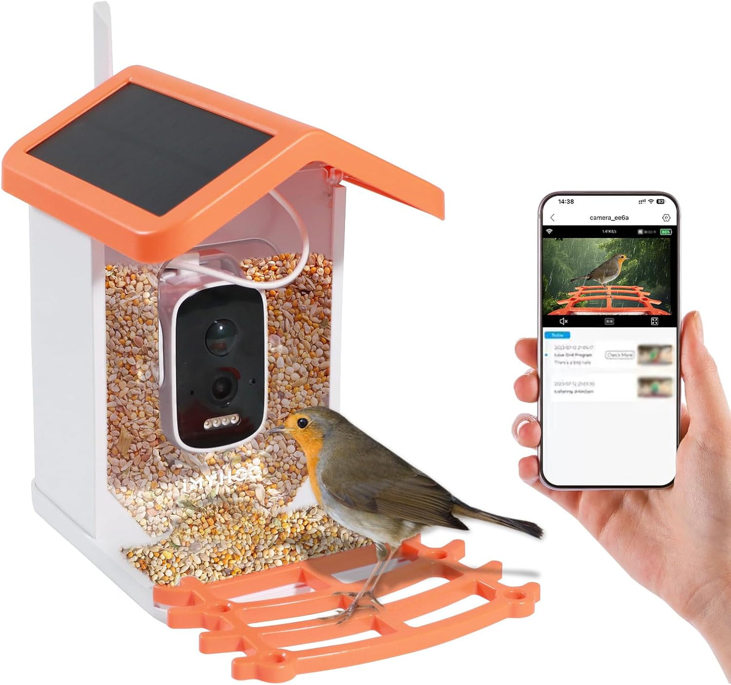 AI Bird Cam - HD Auto-Capture & Motion Detection