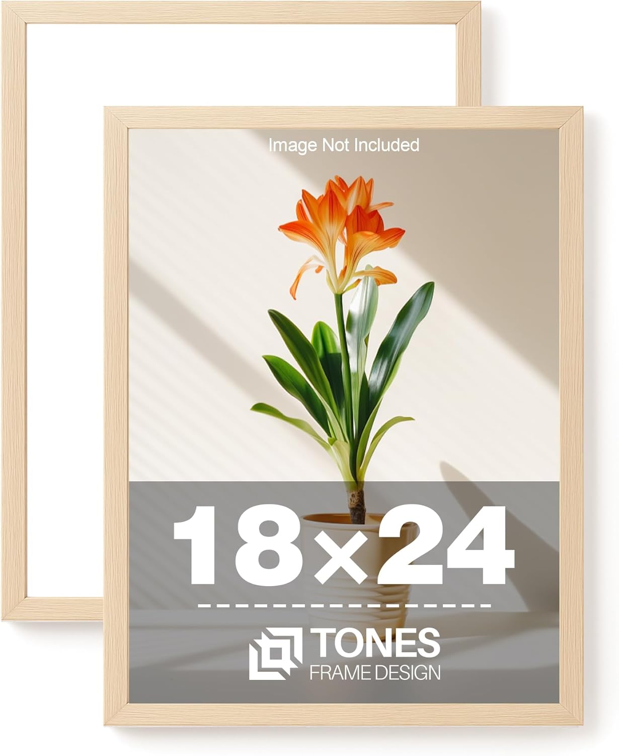 18x24 Poster Frame Set of 2 Natural Solid Wood Veneer