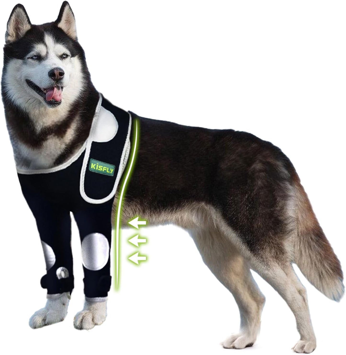 Dog Leg Brace Front for Elbow Injuries and Licking Wounds