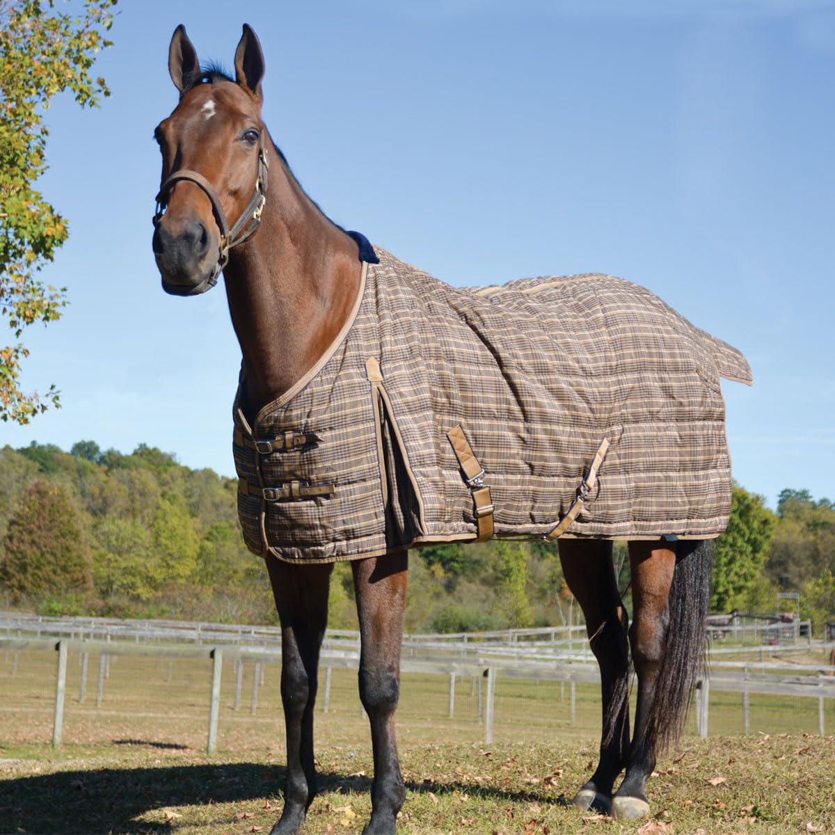 Country Pride Highland Lightweight Stable Blanket - Cozy Protection!