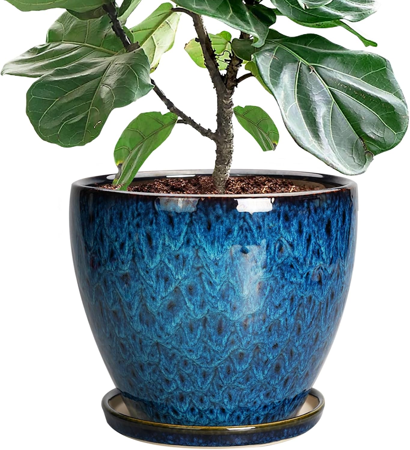 10 Inch Ceramic Planter Pot for Indoor and Outdoor Plants