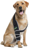 KISFLY Dog Elbow Brace for Canine Support and Recovery