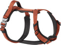 PawsPassion Dog Harness for Medium Dogs - No Pull, Durable Metal