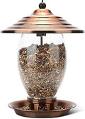 REALEAD Bird Feeder for Outside - Metal and Glass Hanging Feeder