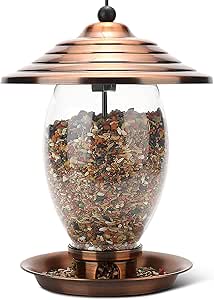 Stylish Metal and Glass Bird Feeder for Wild Birds Outside