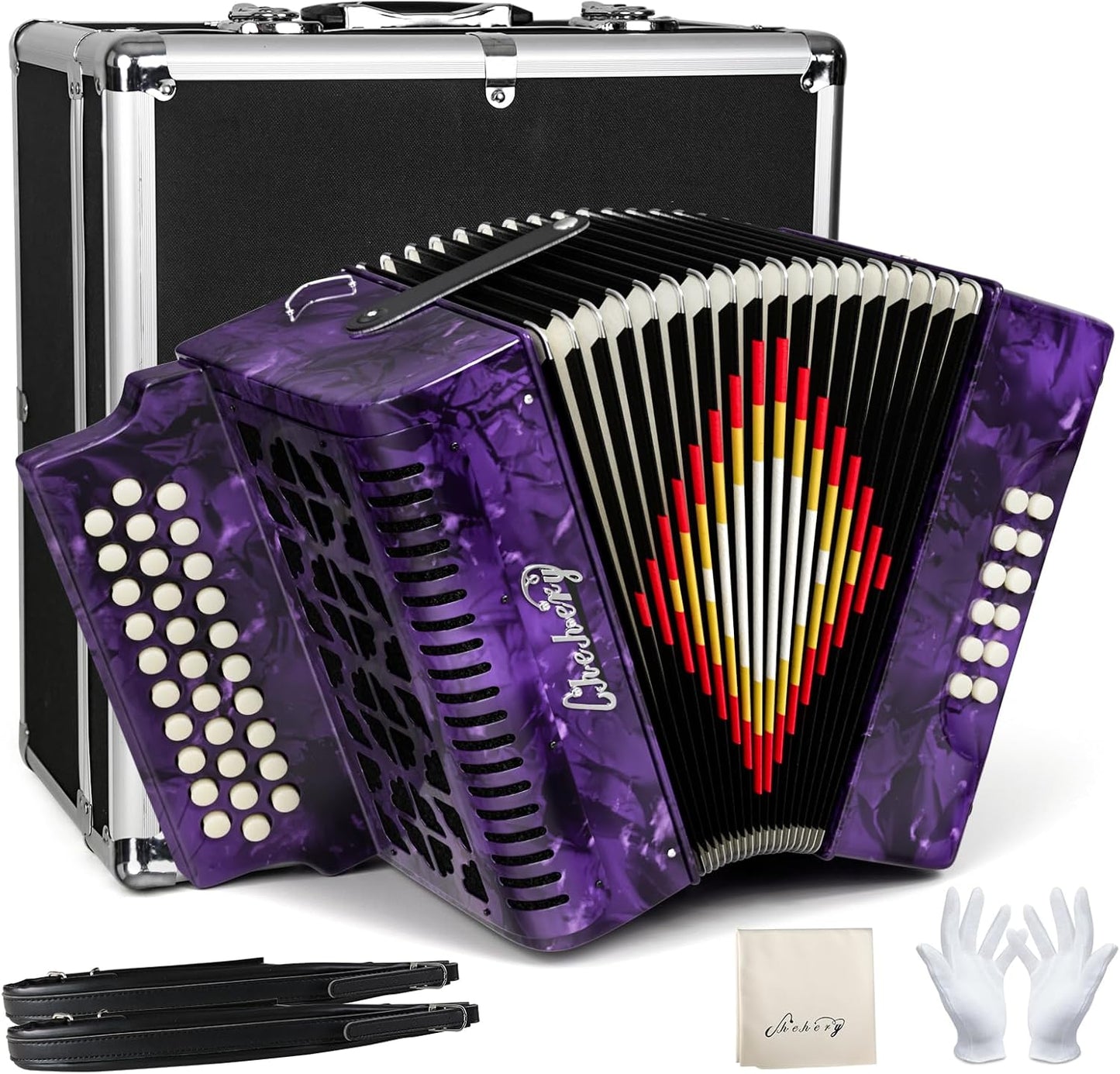 31 Key 12 Bass Diatonic Accordion with Case and Accessories