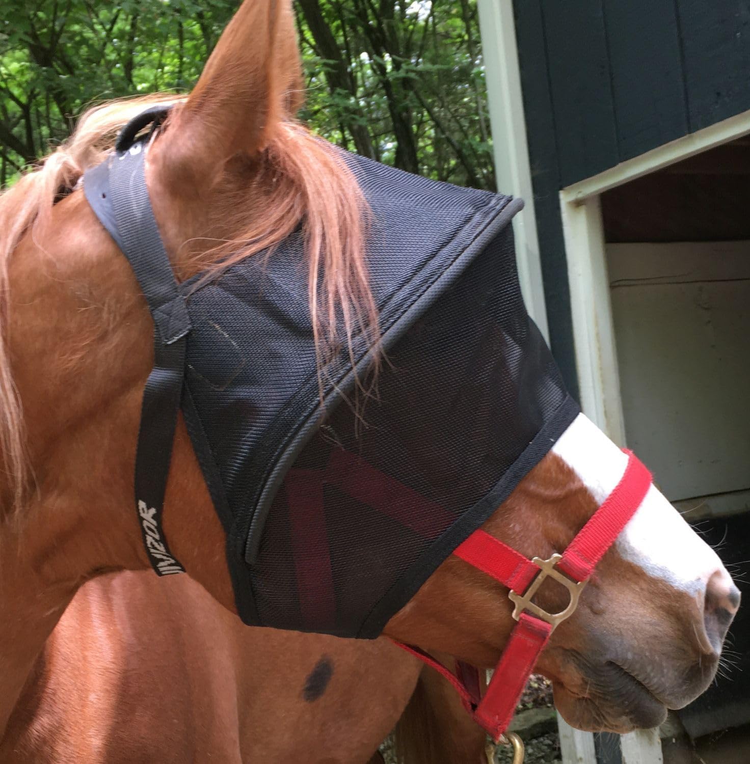 EquiVizor Solar Vizor Horse Fly Mask for Superior UV Protection