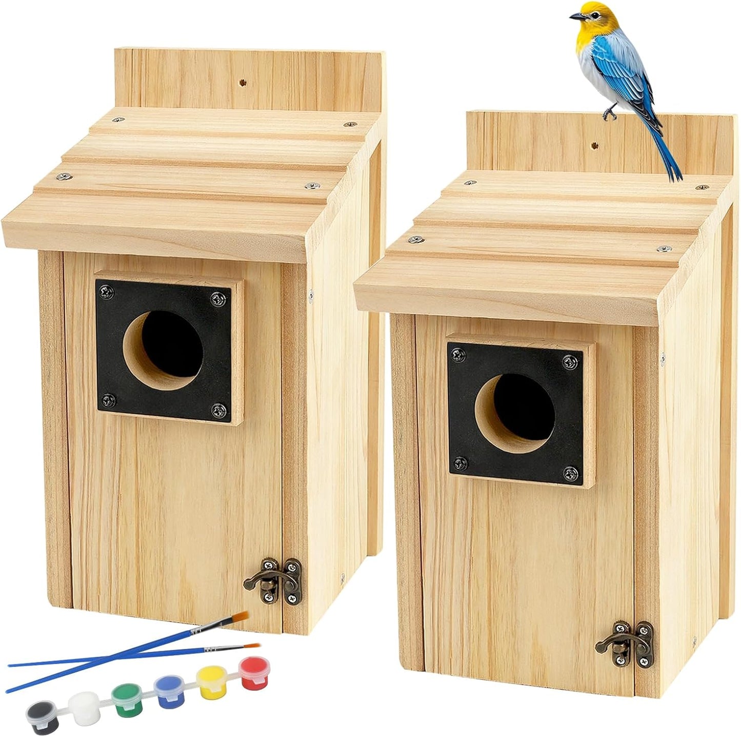 2 Pack Wood Bird Houses with Paint Set for Bluebird Finch Swallow