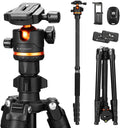 K&F Concept 75.6 in Camera Tripod with 360 Degree Ball Head - Heavy