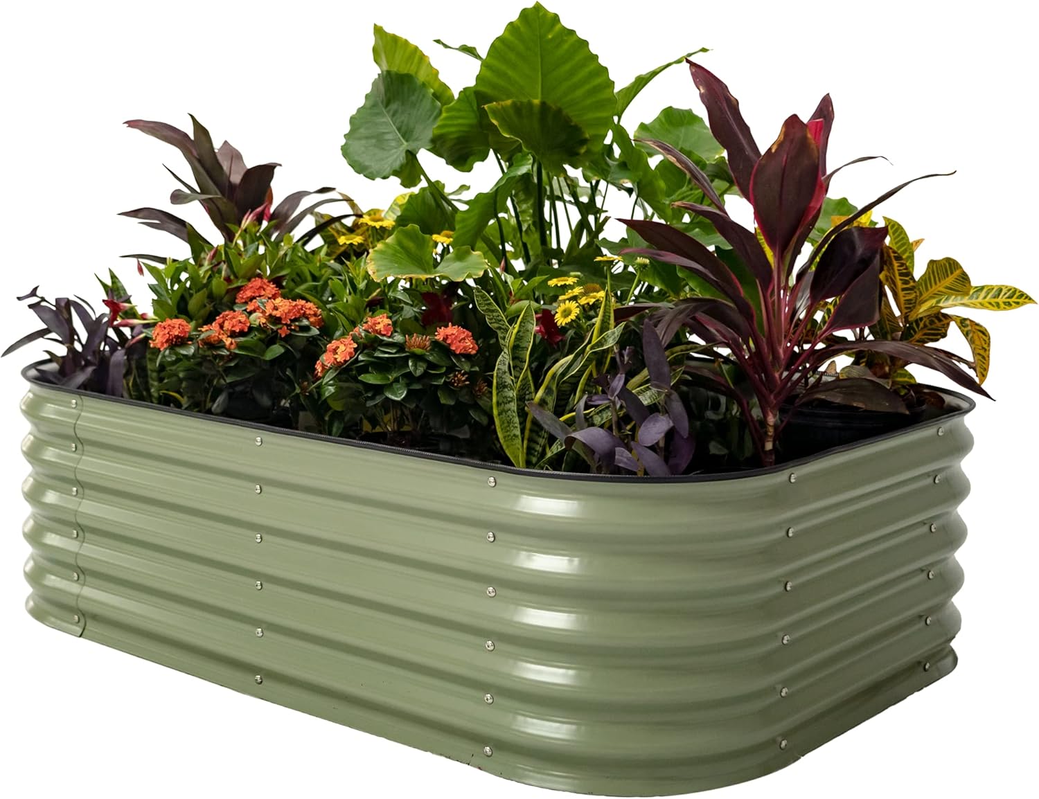 Vego Garden Raised Bed Kits: 6 in 1 Modular Planter Box