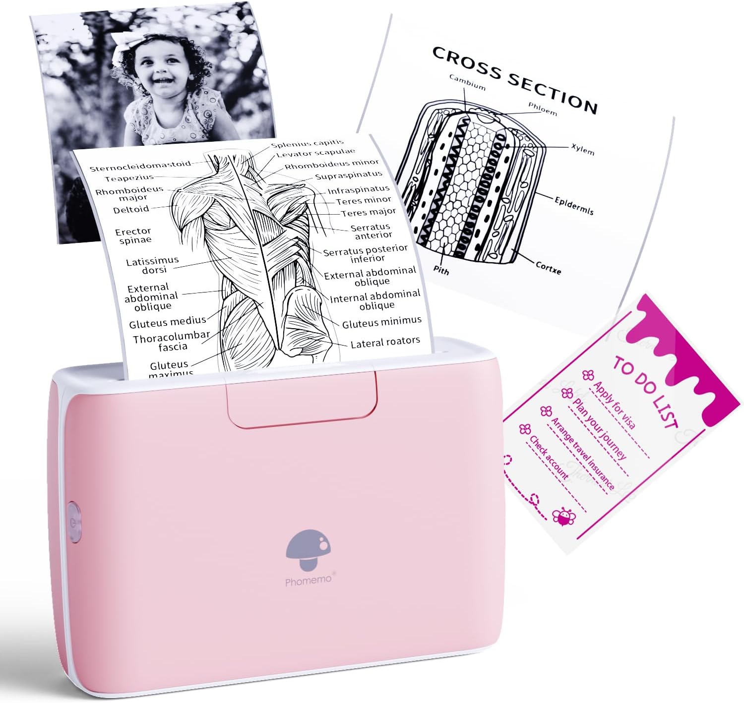 Phomemo 4 Inkless Bluetooth Printer - Print on-the-go in 4 widths