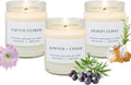 Wax & Wane Southwest Scented Candle Set of 3 - Handcrafted Soy Trio