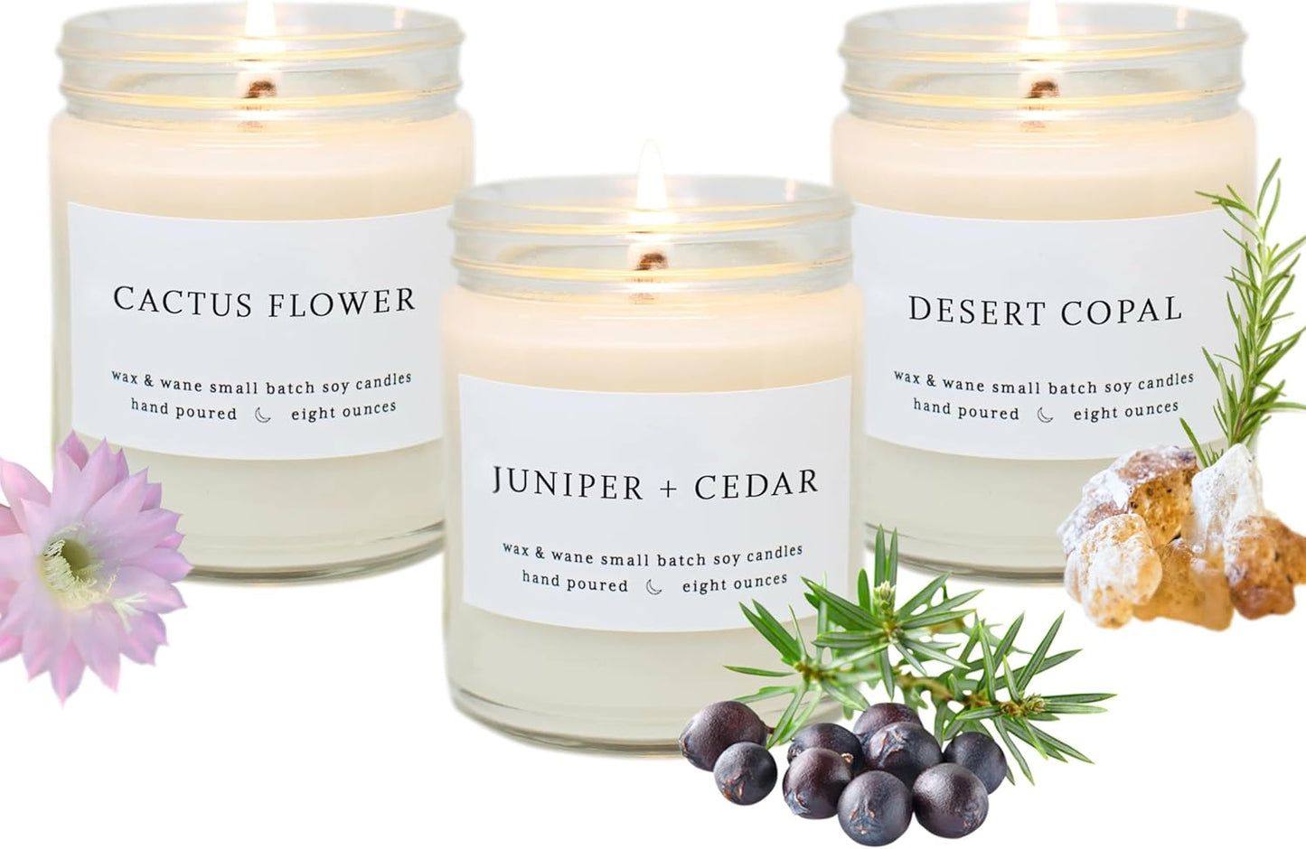 Wax & Wane Southwest Scented Candle Set - Handmade Soy Candles