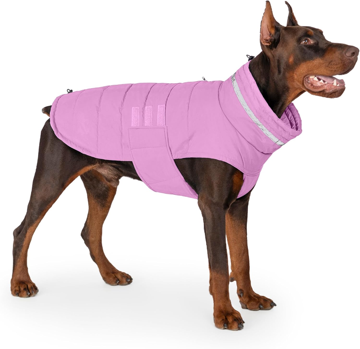 Dog Coat Waterproof Winter Jacket for Medium and Large Dogs