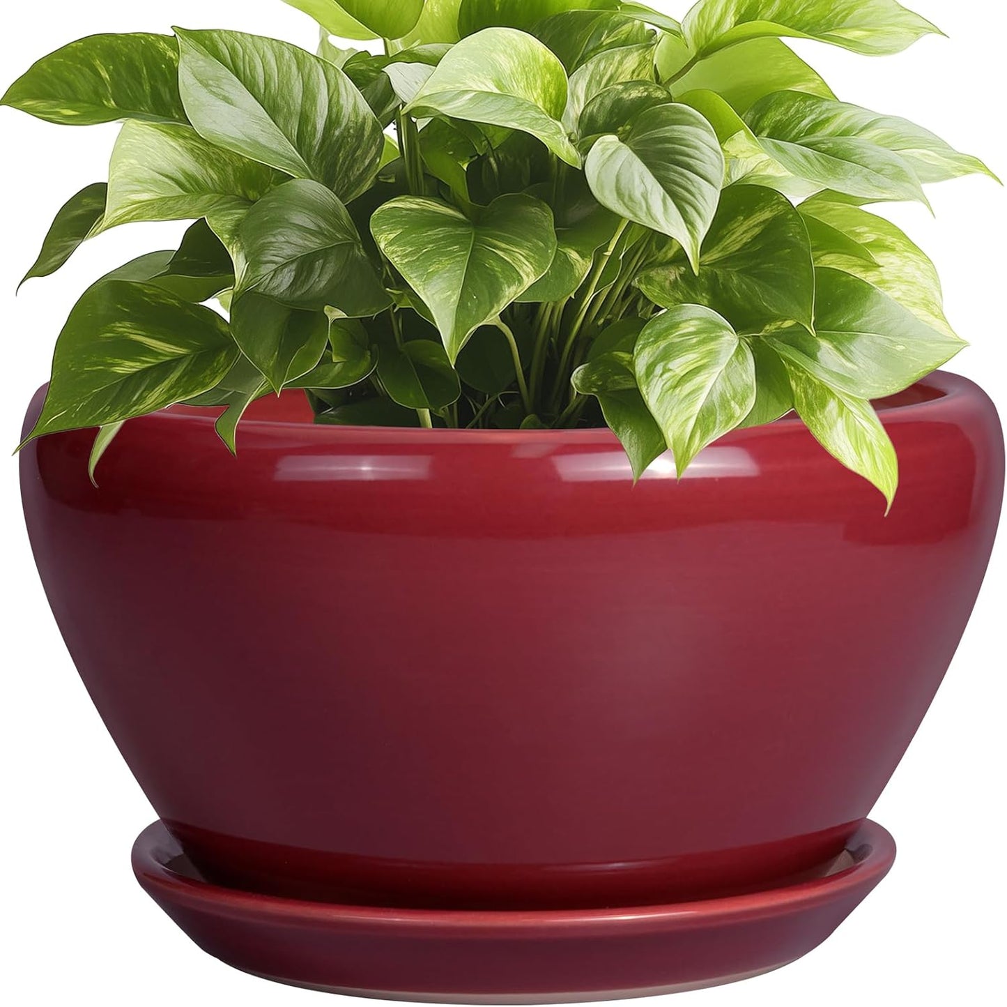 Ceramic Plant Pot 9 Inch with Drainage Hole for Indoor Plants