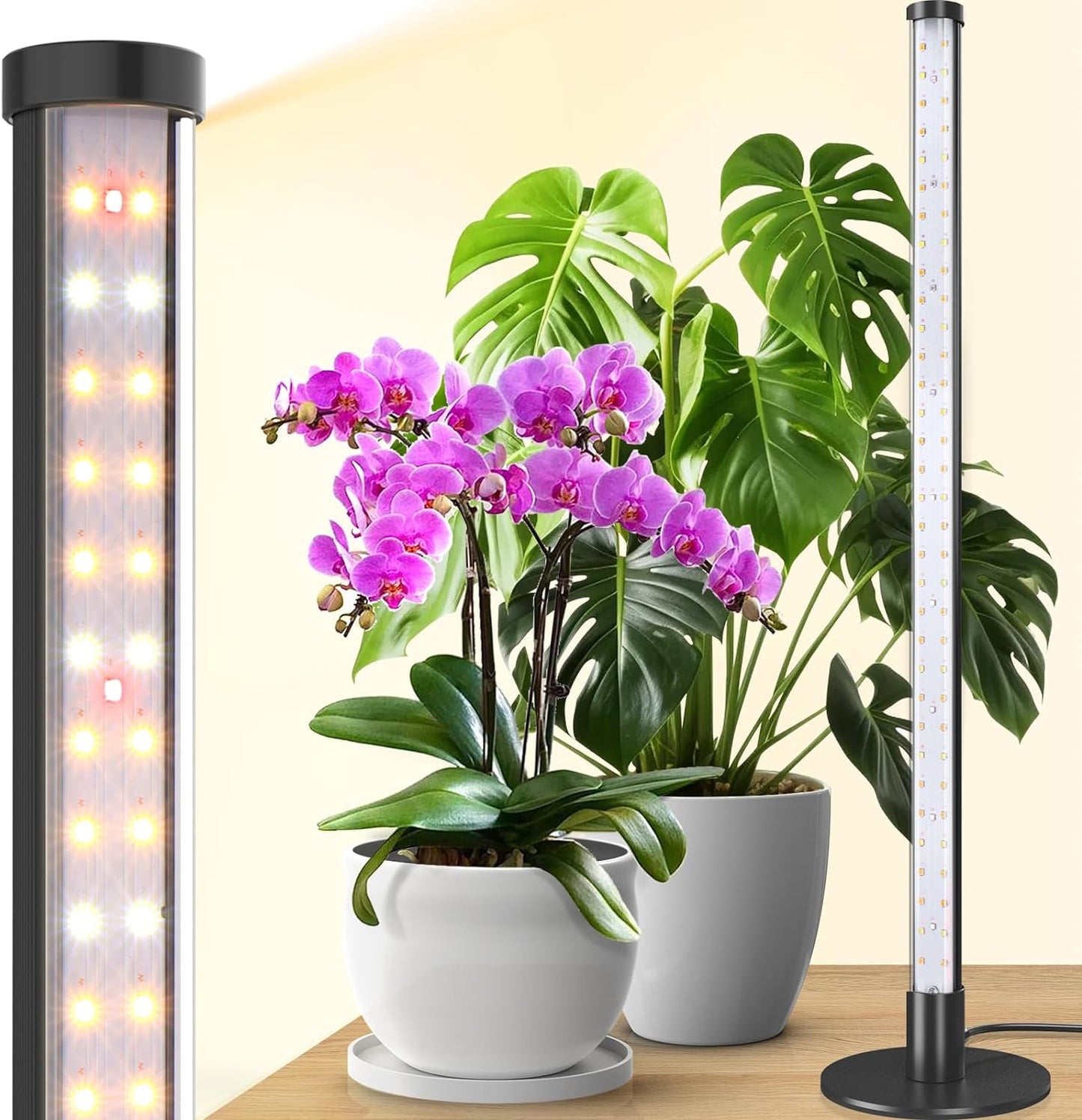 Barrina Standing Grow Light for Indoor Plants - 20W 2FT LED