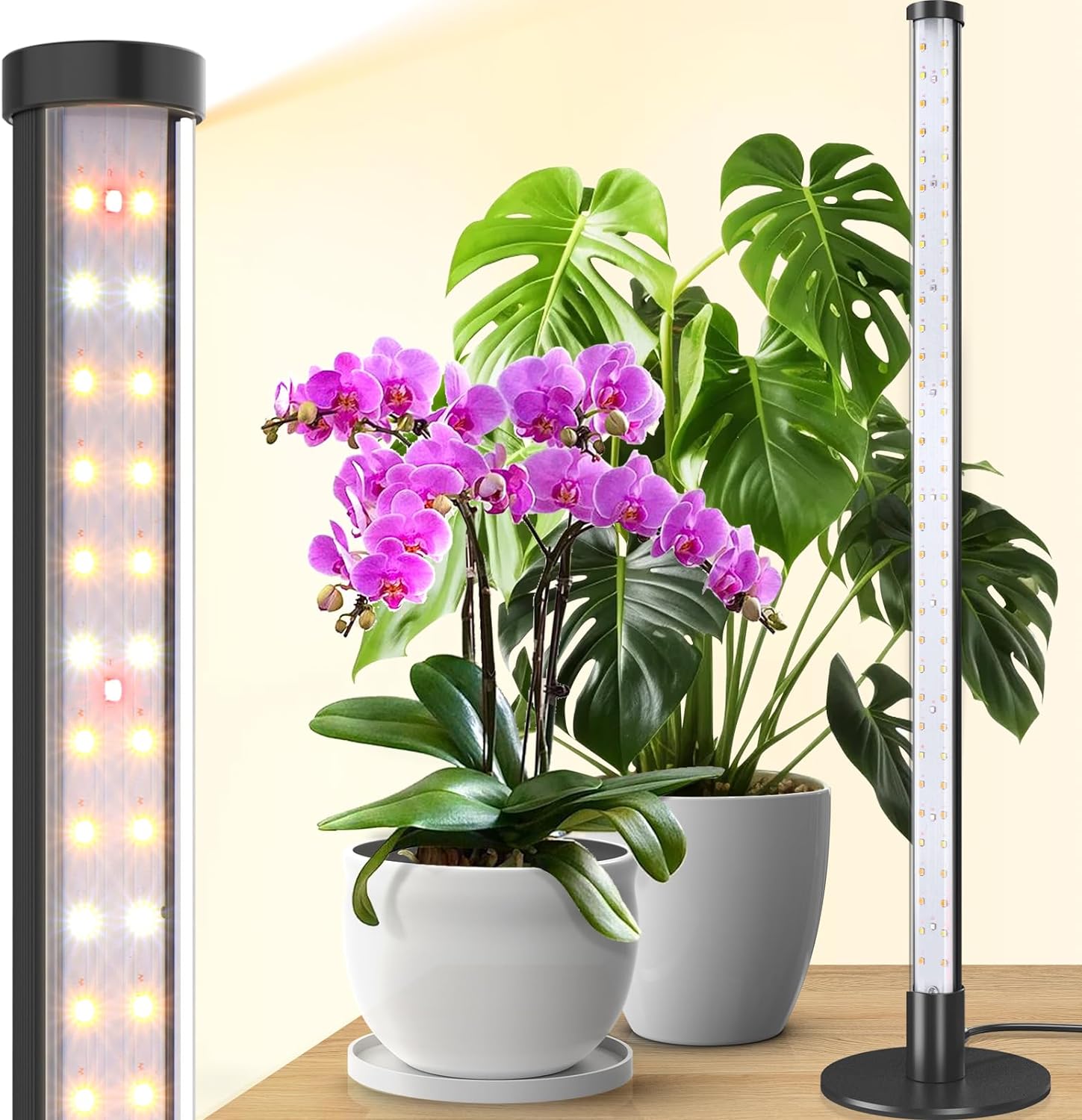 Barrina Standing Grow Light for Indoor Plants - 20W 2FT LED