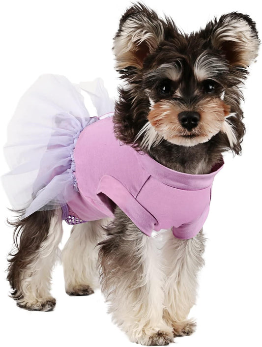 Etdane Dog Diapers: Purple Period & Recovery Wear