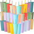 30 Pack Tumbler with Straw and Lid for Parties and Gifts