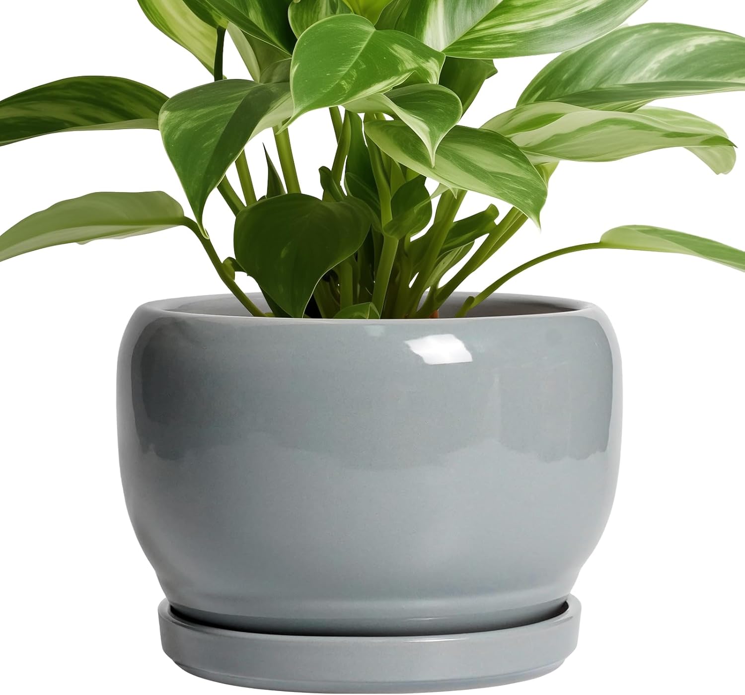 SQOWL Ceramic Pot for Plants - 8 Inch Indoor Planter with Saucer