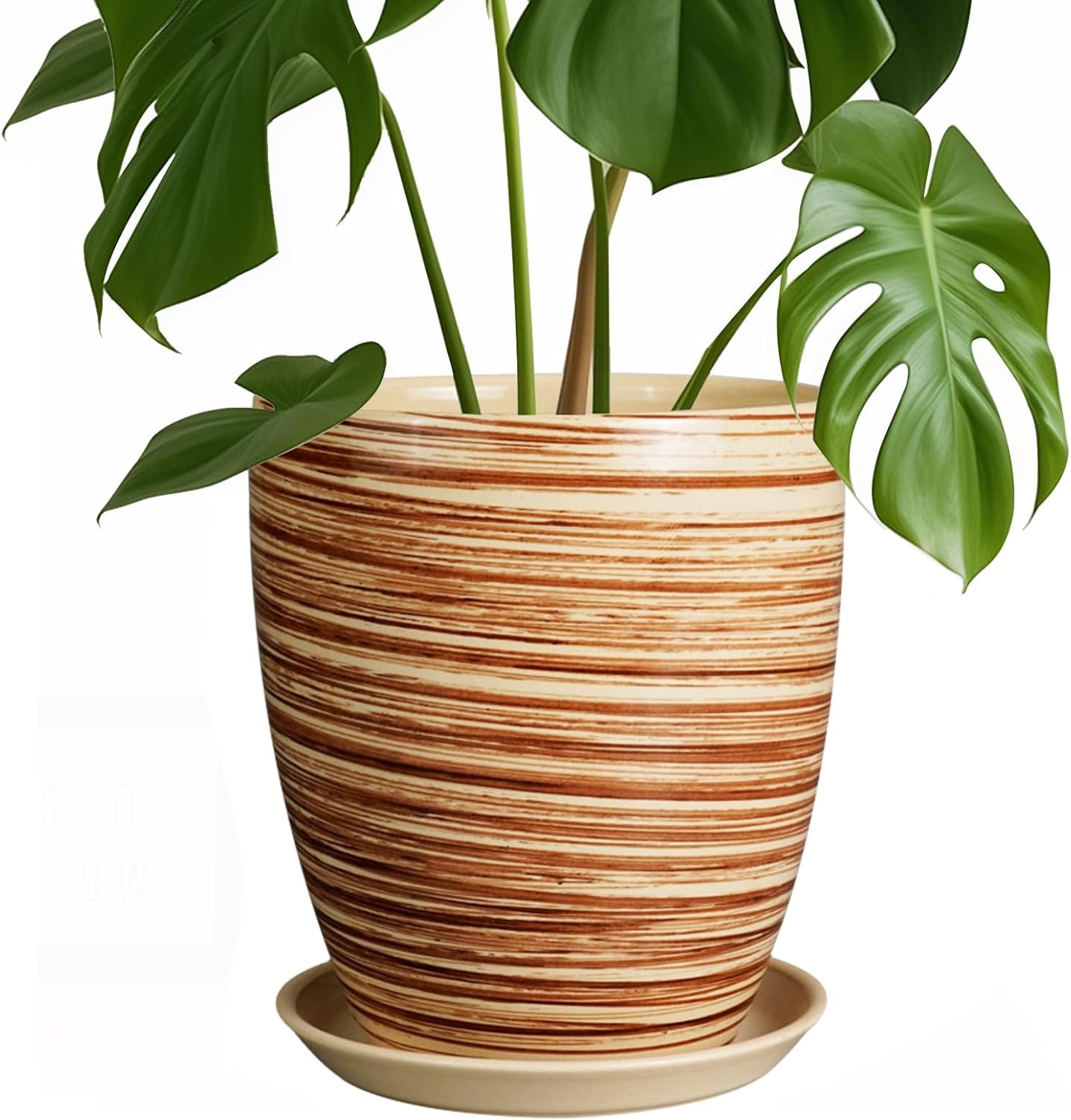8 Inch Ceramic Plant Pot with Drainage Hole for Home and Garden
