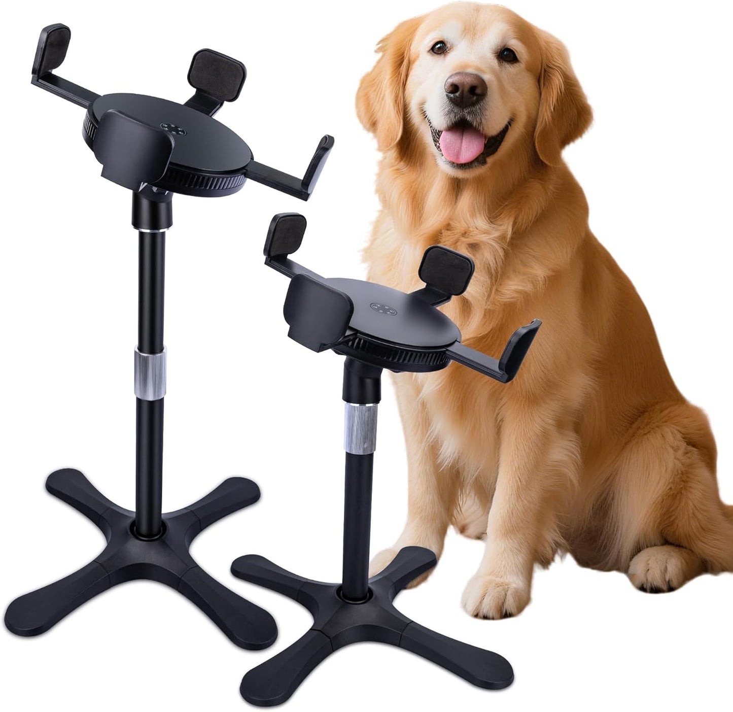 Elevated Dog Bowl with Adjustable Stand for All Breeds