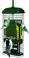 Squirrel Buster Suet Squirrel-Proof Suet Bird Feeder - Saves Food